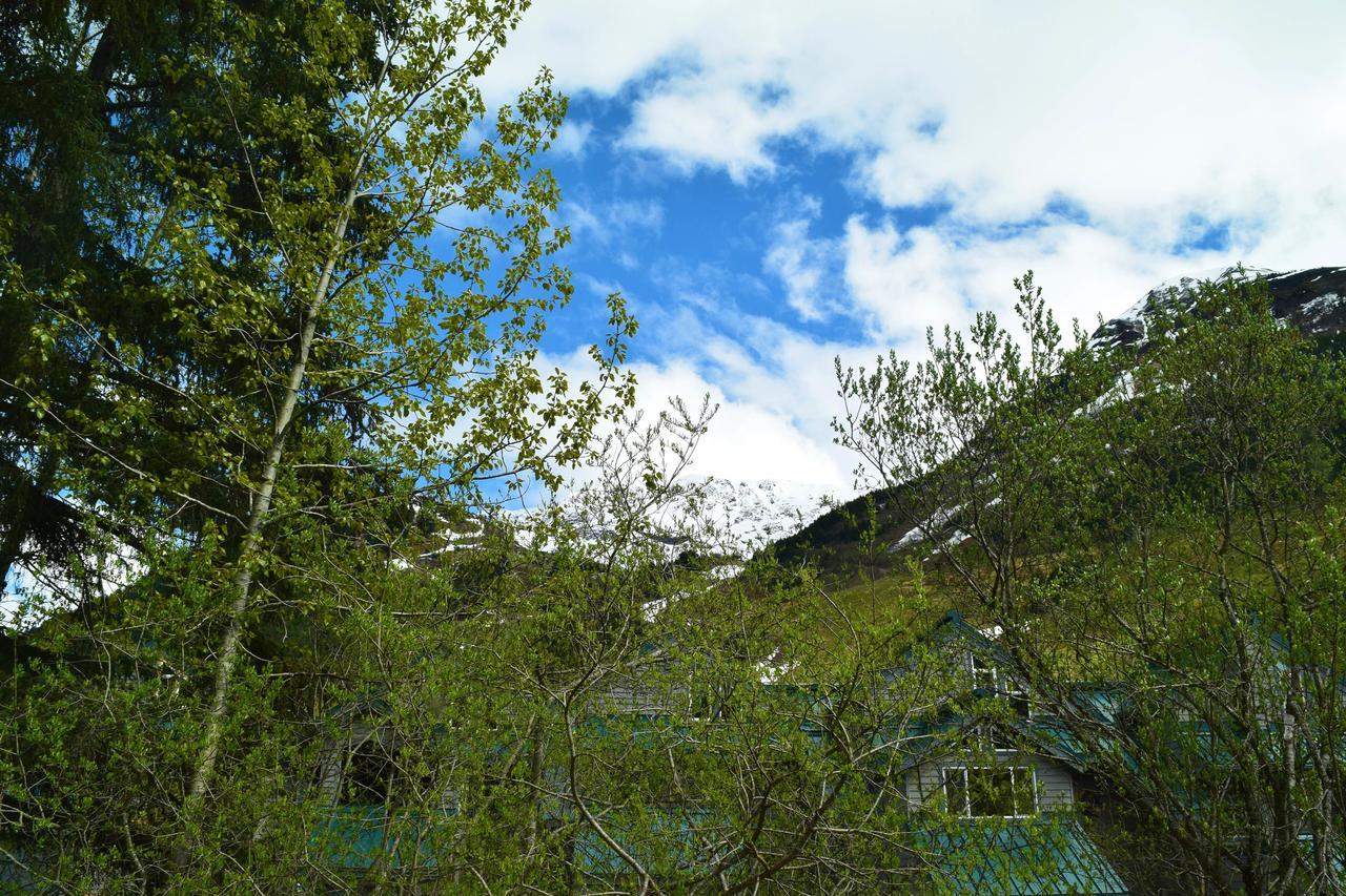 Chalet Snowbird #5 *